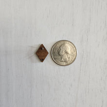 Load image into Gallery viewer, Walnut Wood Diamond Stud with Post - 304 Stainless Steel