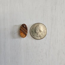 Load image into Gallery viewer, Transparent Resin with Gold Foil & Walnut Wood Oval Stud with Post - LIGHT SALMON, 304 Stainless Steel