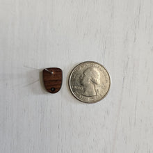Load image into Gallery viewer, Walnut Wood Rounded Trapezoid Stud with Post - 304 Stainless Steel