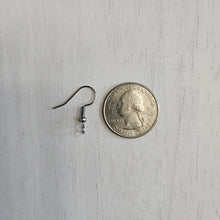 Load image into Gallery viewer, Classic Ball & Spring Ear Wires with Front Facing Loop- STAINLESS STEEL, 304 Stainless Steel