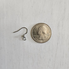 Load image into Gallery viewer, Flat French Hook Ear Wires - STAINLESS STEEL, 304 Stainless Steel
