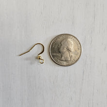 Load image into Gallery viewer, Flat French Hook Ear Wires - GOLD, 304 Stainless Steel