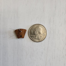 Load image into Gallery viewer, Walnut Wood Angled Trapezoid Stud with Post - 304 Stainless Steel