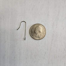Load image into Gallery viewer, Long Stem Ear Wires with Front Facing Loop - STAINLESS STEEL, 316 Stainless Steel