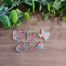 Load image into Gallery viewer, Patterned Acrylic State Drops