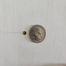 Load image into Gallery viewer, Flat Round Stud Backs/Posts/Findings, 5x12mm - GOLD, 24K Gold Plated 304 Stainless Steel