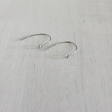 Load image into Gallery viewer, Simple Ear Wires with Front Facing Loop - STAINLESS STEEL, 304 Stainless Steel