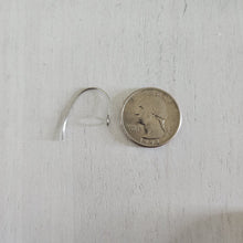 Load image into Gallery viewer, Simple Ear Wires with Front Facing Loop - STAINLESS STEEL, 304 Stainless Steel