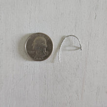 Load image into Gallery viewer, Textured Simple Ear Wires with Front Facing Loop - STAINLESS STEEL, 316 Surgical Stainless Steel