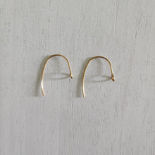 Load image into Gallery viewer, Simple Ear Wires with Front Facing Loop - GOLD, Ion Plated 304 Stainless Steel