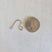 Load image into Gallery viewer, Large Outer Loop Ear Wires - STAINLESS STEEL, 316 Stainless Steel