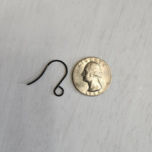 Load image into Gallery viewer, Tall Large Outer Loop Ear Wires - BLACK, 316 Stainless Steel