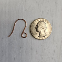 Load image into Gallery viewer, Tall Large Outer Loop Ear Wires - ROSE GOLD, 316 Stainless Steel