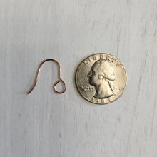 Load image into Gallery viewer, Large Inner Loop Ear Wires - ROSE GOLD, 316 Stainless Steel