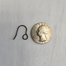 Load image into Gallery viewer, Large Inner Loop Ear Wires - BLACK, 316 Stainless Steel