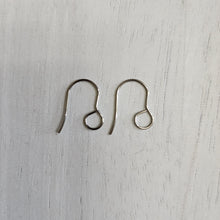 Load image into Gallery viewer, Large Inner Loop Ear Wires - STAINLESS STEEL, 316 Stainless Steel