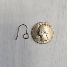 Load image into Gallery viewer, Large Inner Loop Ear Wires - STAINLESS STEEL, 316 Stainless Steel