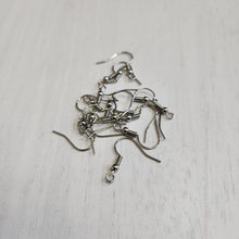 Load image into Gallery viewer, Classic Ball & Spring Ear Wires - STAINLESS STEEL, 316 Stainless Steel