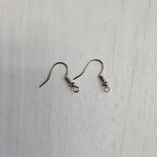 Load image into Gallery viewer, Classic Ball & Spring Ear Wires - STAINLESS STEEL, 316 Stainless Steel