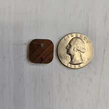 Load image into Gallery viewer, Walnut Wood Rounded Square Stud with Post, 16mm - 304 Stainless Steel