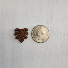 Load image into Gallery viewer, Walnut Wood Monstera Leaf Stud with Post - 304 Stainless Steel
