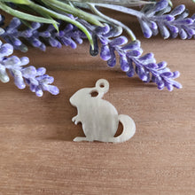 Load image into Gallery viewer, Chinchilla Acrylic Drop
