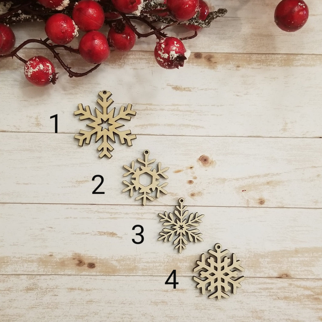 Snowflake Earrings & Ornaments